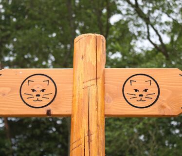 Beschilderung Wildnistrail