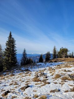 Fotografia z Juliane Jarke na trase