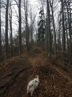 Foto von ElkeA entlang der Tour
