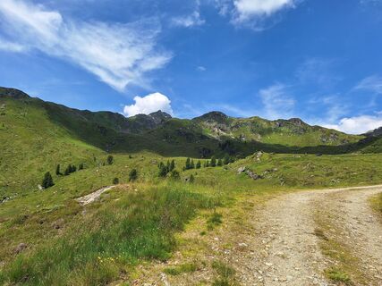Fotografija s spletne strani Hermann Gruber 1 na poti