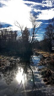 Fotografia z Carsten Ophoves na trase