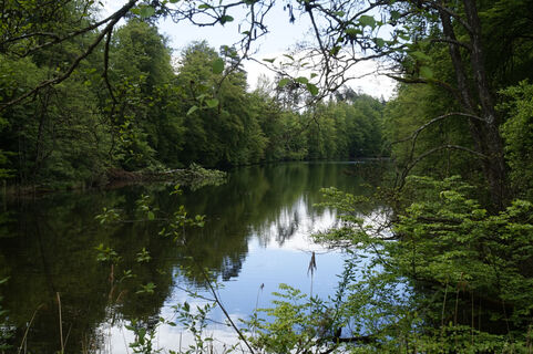 Kaltbrunnweiher