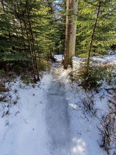 Fotografija s spletne strani v.stein na poti