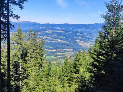 Photo de v.stein le long du parcours