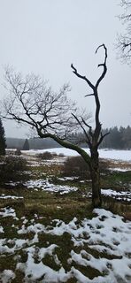 Foto von Wolfgang Riemer entlang der Tour