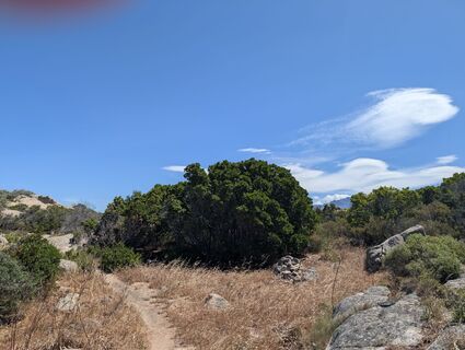 Foto de BettiKreibiehl a lo largo del recorrido