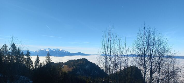 Foto von Ulrike Seebacher entlang der Tour