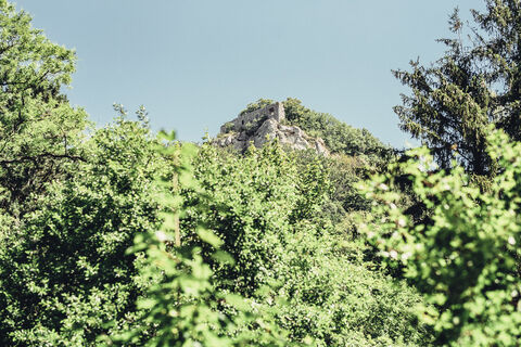 Burgruine Rosenstein