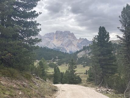 Foto von Gotthard Siegl entlang der Tour