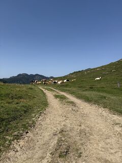 Foto von Oliver Baukholt entlang der Tour