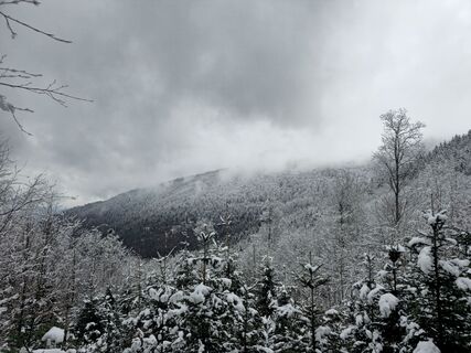 Fotografie z Maximilian Oehler na trase