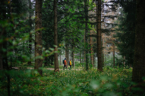 Prochenberg, Ybbsitz