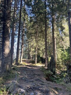 Photo de Georges RIEDO 1 le long du parcours