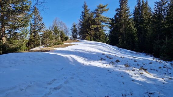 Foto de Ernst Brezina a lo largo del recorrido