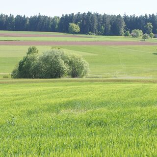 Immer wieder Ausblicke auf Wald, Wiesen und Felder