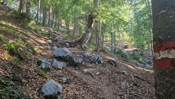Photo de Kirchstieglerin le long du parcours