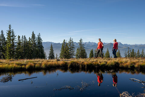 Wandern am Rossbrand im Herbst