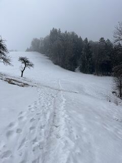 Foto von Clemens Roiß entlang der Tour