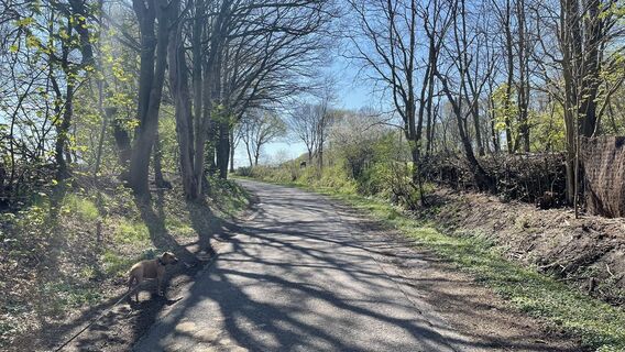 Kuva osoitteesta Coby matkan varrella