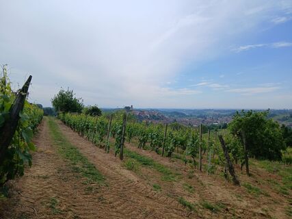 Foto von Luca Dainese entlang der Tour
