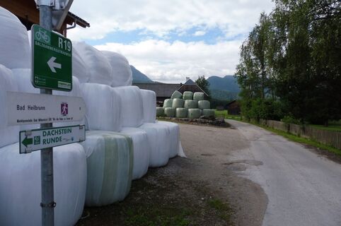 Durch Neuhofen durch...