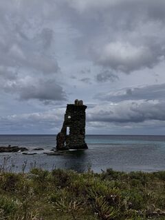 Foto de noddy suter a lo largo del recorrido