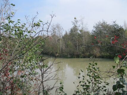 Stammersdorf - Donauinsel