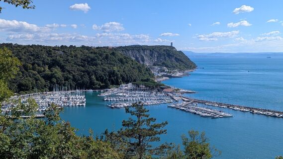 Foto von Ziegler Em1304 entlang der Tour