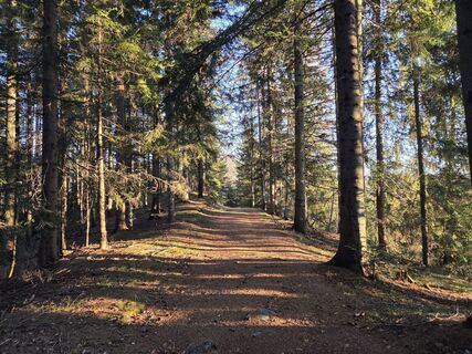 Foto von Zahrni78 entlang der Tour