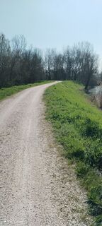 Foto de domenico mondin a lo largo del recorrido