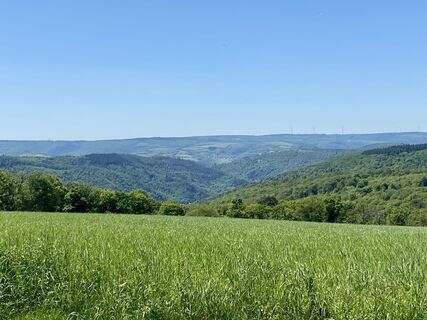 Foto von Arthur Muskalla entlang der Tour