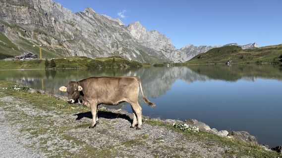 Foto von Peter Burki entlang der Tour