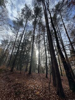 Фото с сайта DerNagsor во время экскурсии