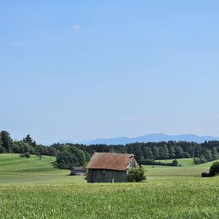 Foto von garrincha entlang der Tour