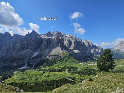 Foto von Grieshofer Gerlinde entlang der Tour