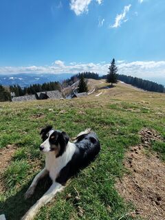 Foto von Michi Moder entlang der Tour