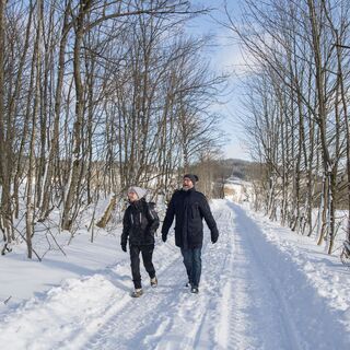 Winterwanderung in der Urlaubsregion Medebach