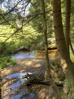 Fotografia z Moonytiger na trase
