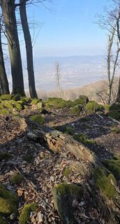 Zdjęcie z János Zsolt Mahr wzdłuż trasy