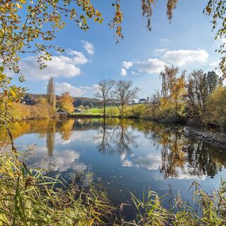 Wilchingen Weiher Haslach