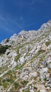 Photo de Kirchstieglerin le long du parcours