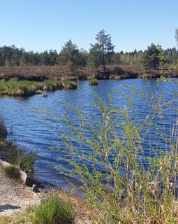 Zdjęcie z Ingeborg Maislinger wzdłuż trasy