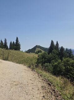 Foto von P Feichtenschlager entlang der Tour