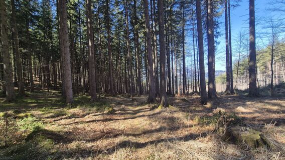 Fotografija s spletne strani Patrick82 na poti