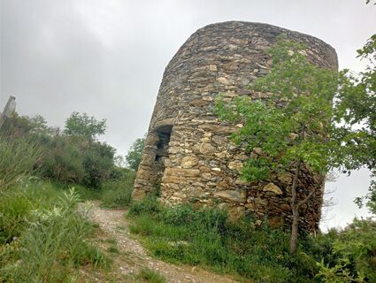 Fotografija s spletne strani simone ravasi na poti