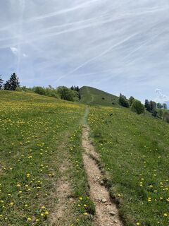 Foto von Mark entlang der Tour