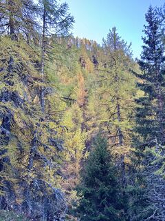 Fotografia z Monicatiengo na trase