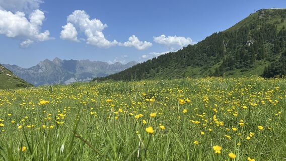 Foto von André Ritschard entlang der Tour