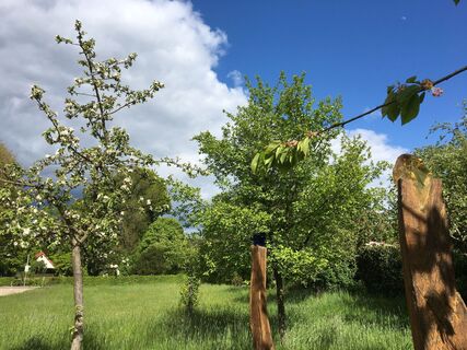 Skulpturen in der Obstwiese am Grünzug Mühlenwiese