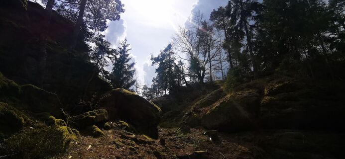 Fotografia z Klaus Lehner na trase